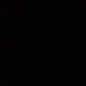 Meet your Posher, Lou’ann